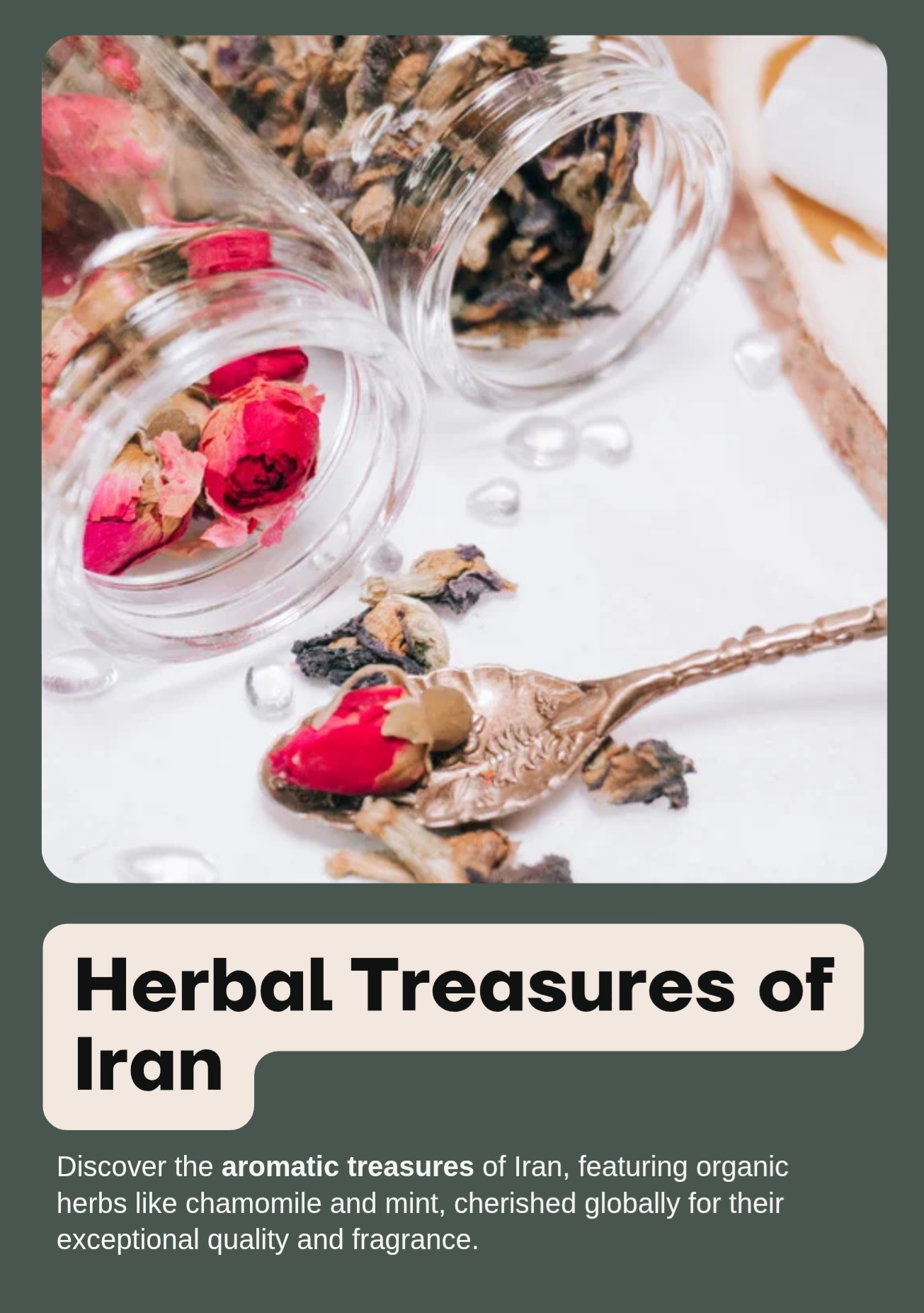 Medicinal Herbs & Dried Flowers