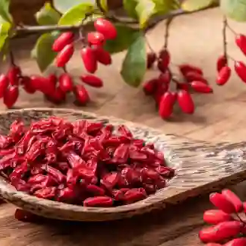 Dried Barberries