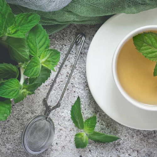 Peppermint / Spearmint