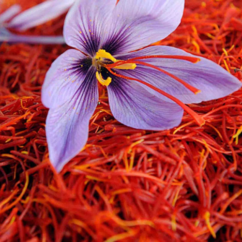 Saffron