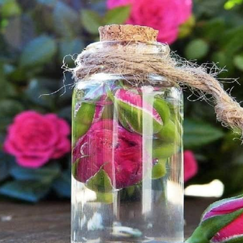 Rose Water