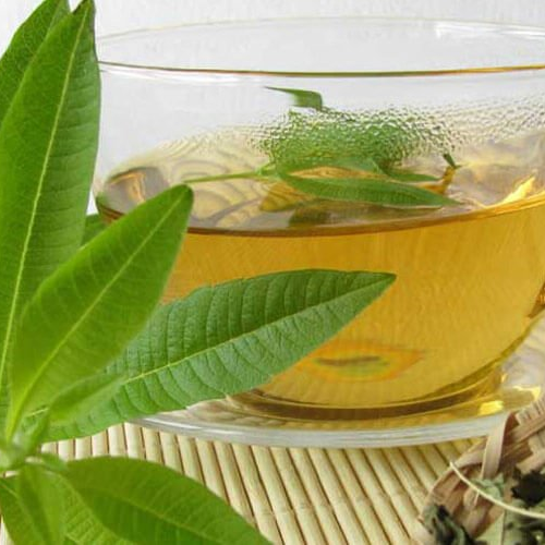 Lemon Verbena