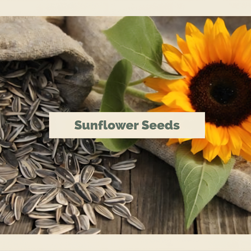 Sunflower Seeds