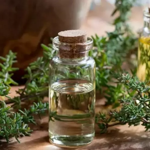 Thyme, Savory, Oregano