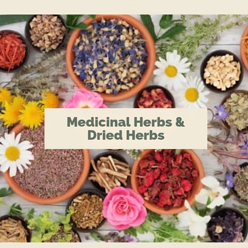 Medicinal Herbs & Dried Flowers