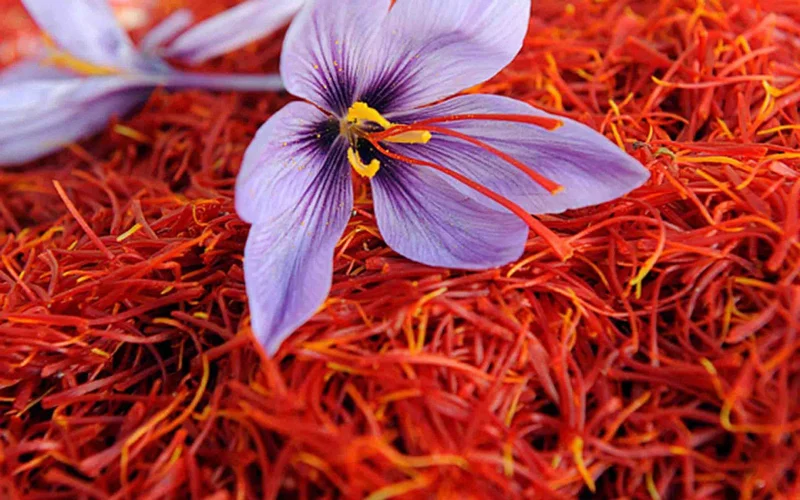 Why Iranian Saffron Is the Best in the World
