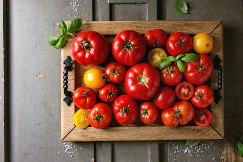 Iranian Tomatoes: Quality, Varieties, and Export Opportunities